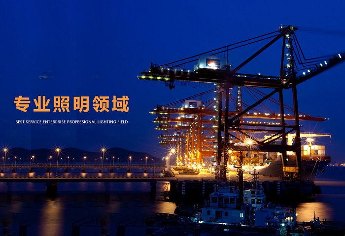 “莱奥斯”照明专业开采港口行业照明企业金蝶数字化管理成功客户案例