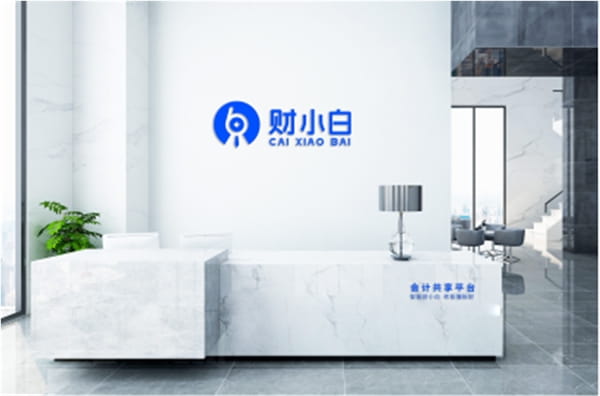 “账小白”高效协同提升人效，前店后厂良性发展