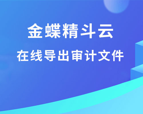 精斗云审计导出怎么操作，数据导出工具打不开怎么办？