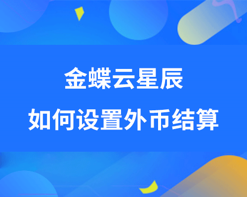 金蝶云星辰支持外币结算吗，如何设置？