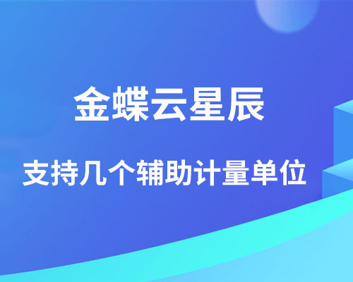 金蝶云星辰支持几个辅助计量单位？