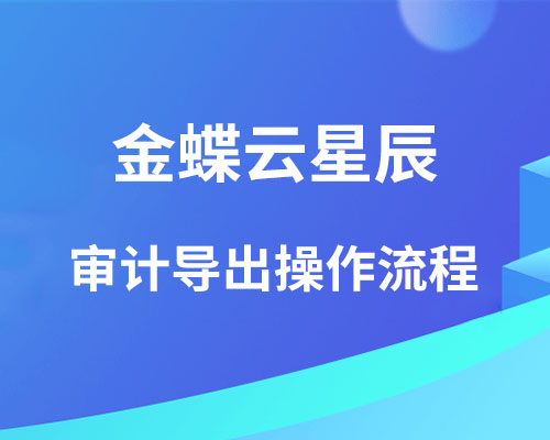金蝶云星辰审计导出怎么操作？