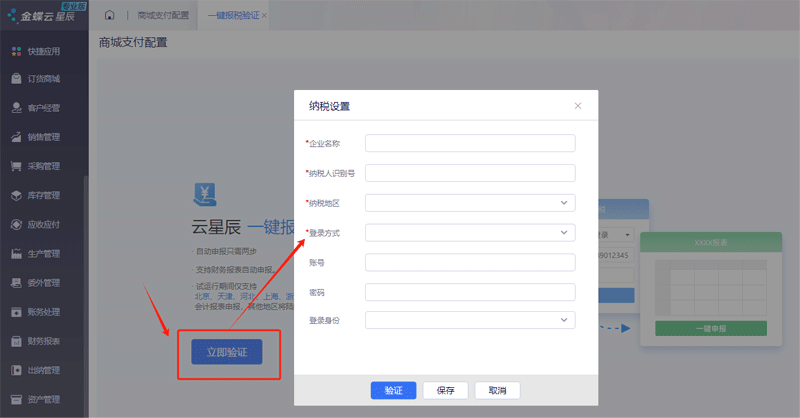 一键报税验证.png