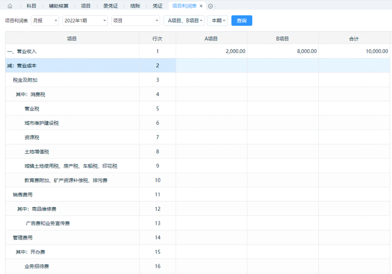 查看项目利润表.png
