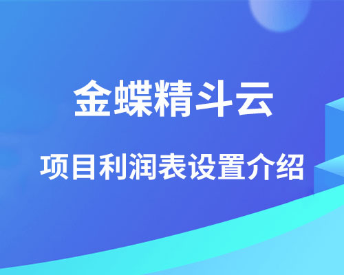 金蝶精斗云项目利润表如何设置？（辅助核算设置介绍）