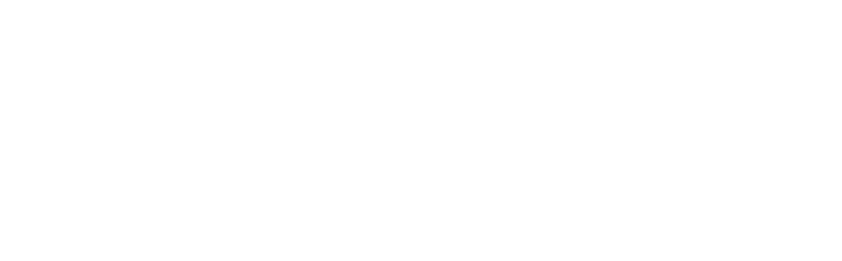 金蝶精斗云LOGO